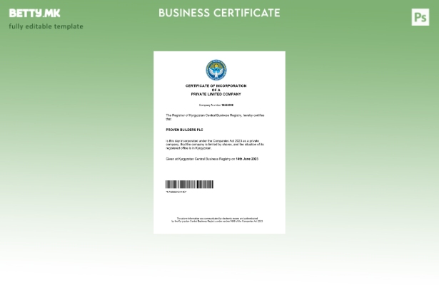 модерен стил Киргистански сертификат за регистрација на бизнис Шаблон за Word и 